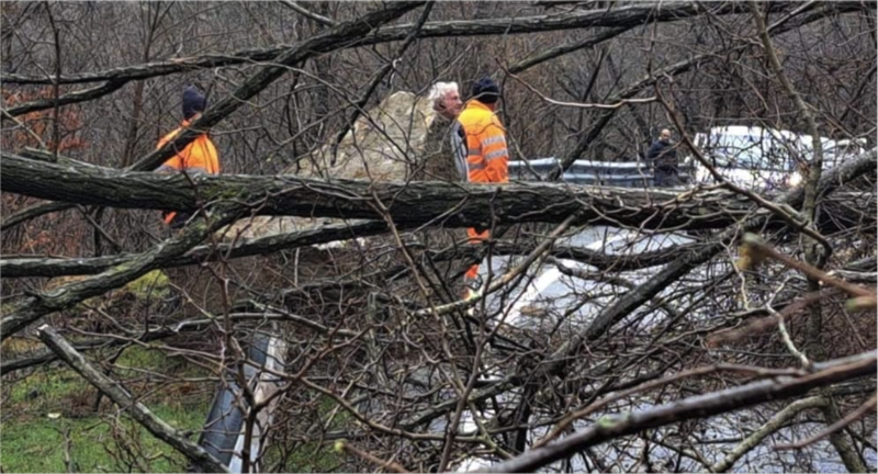 Gli alberi caduti nel punto franato