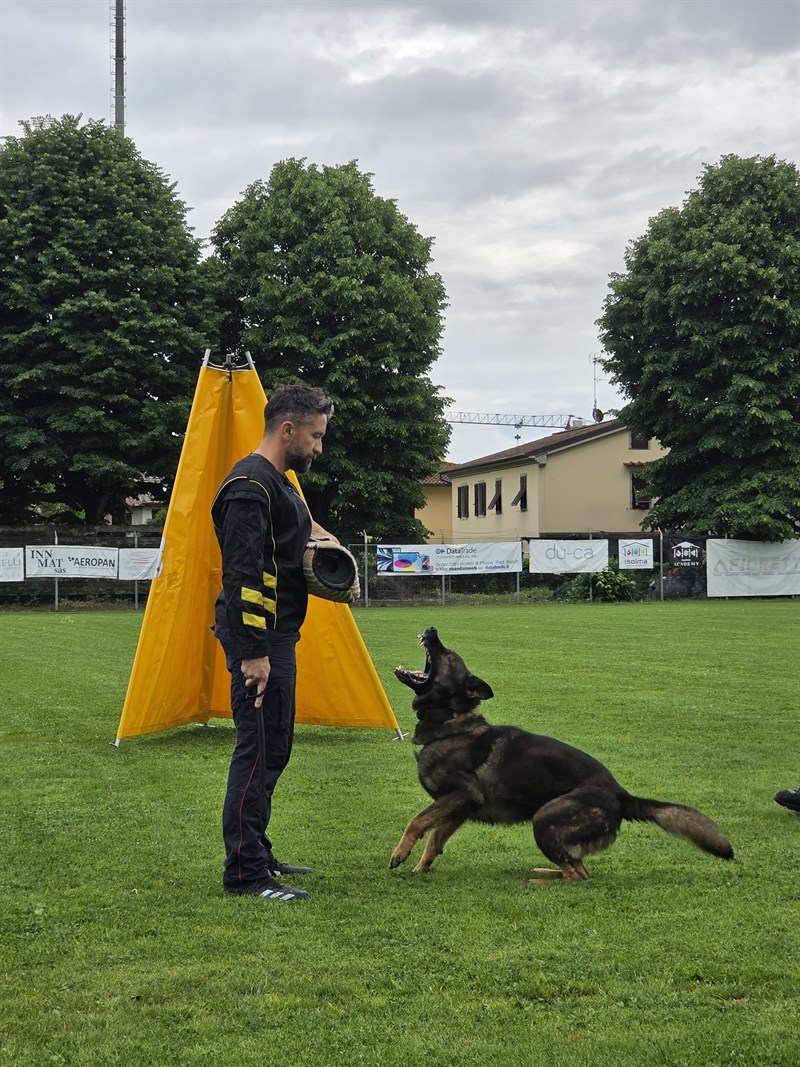 Unità Cinofile Carabinieri