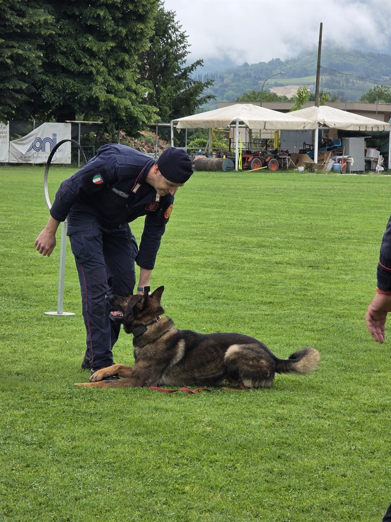 Unità Cinofile Carabinieri