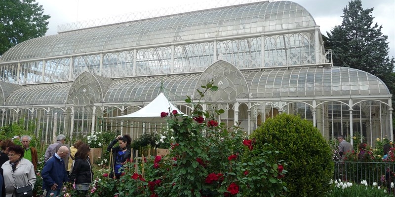 La serra del giardino dell’Orticoltura