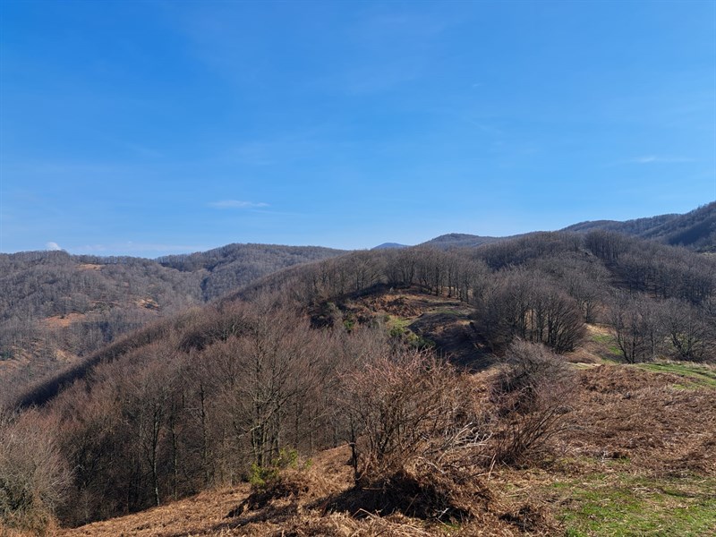 Le foto della giornata