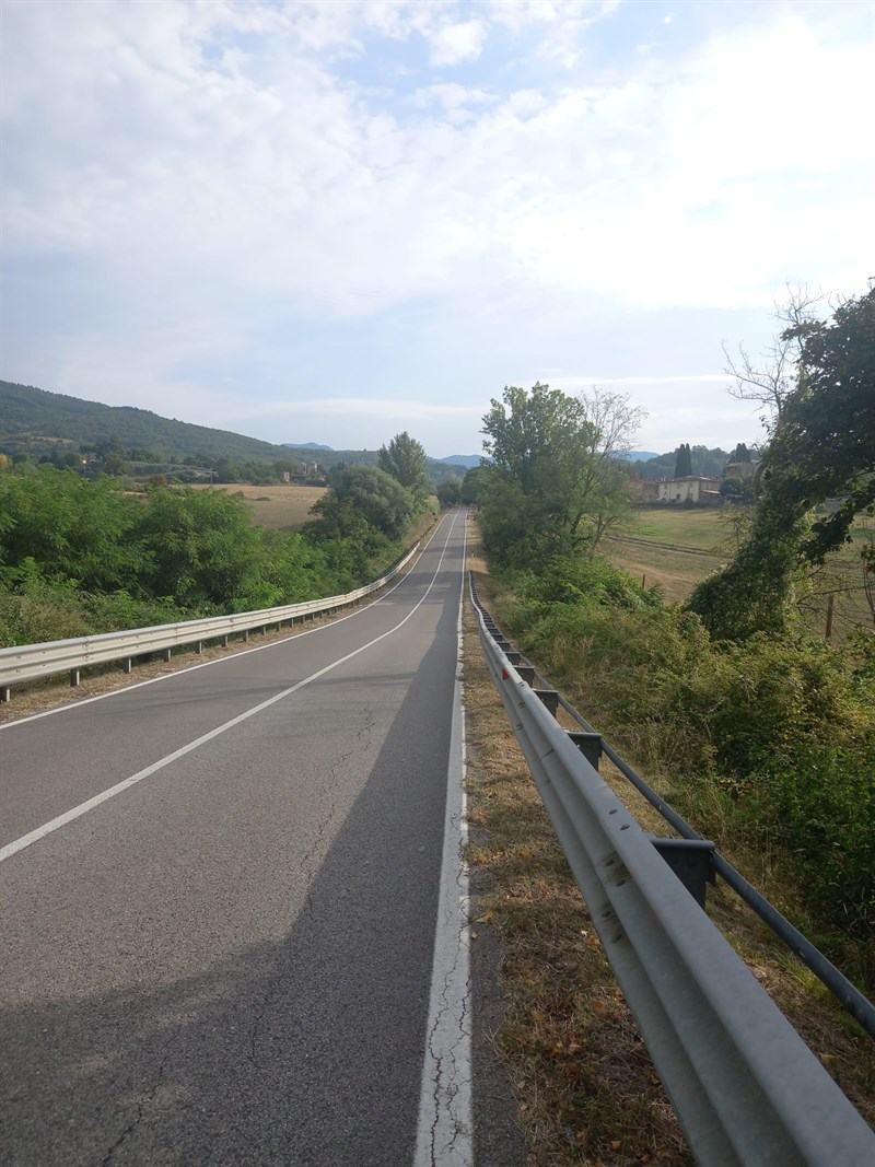 Il bellissimo lavoro dei volontari 