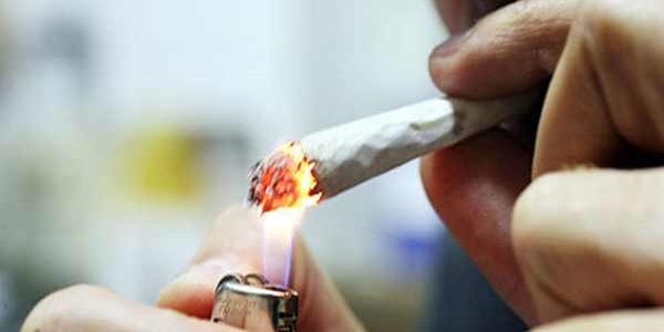 Cani antidroga in azione