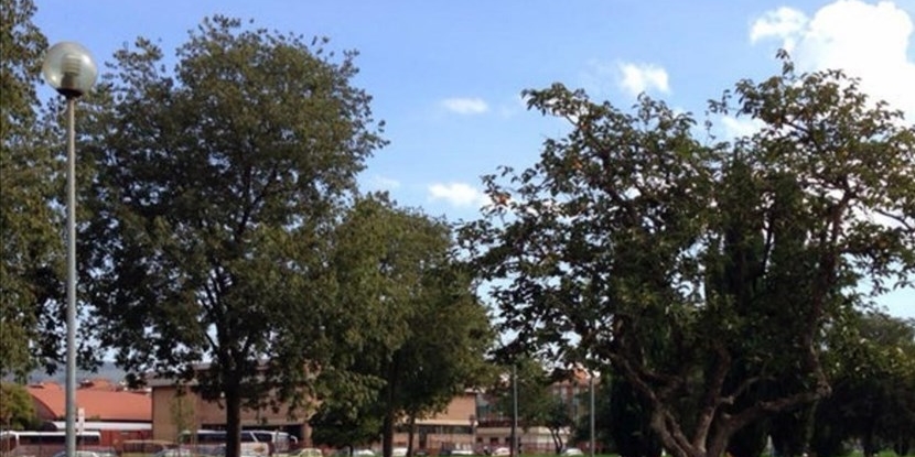 aggressione nei giardini