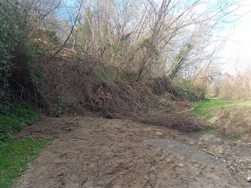 Uno scatto del posto