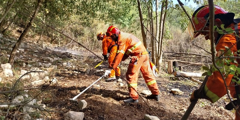Incendio di Vegetazione a Vaglia: Intervento dei Vigili del Fuoco e Volontari VAB