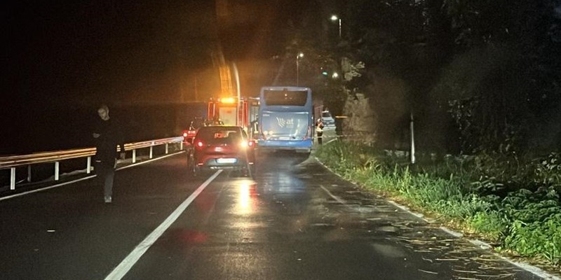 Vaglia: Albero crollato sulla Bolognese provoca blackout e paralisi del traffico in paese