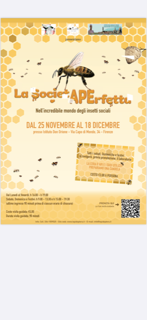 Mostra entomologica a Firenze: un evento per comprendere il mondo di api e insetti sociali.