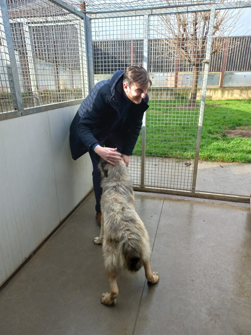 Roxana pare ringraziare il sindaco Ciappi