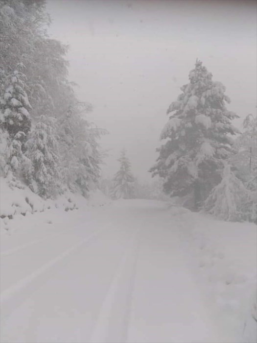 Neve sulla provinciale Londa - Stia