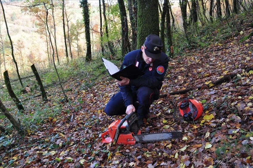 I controlli in corso