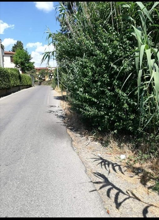 Via Colognese a Montebonello ai lati piena di erbacce: la foto di un lettore
