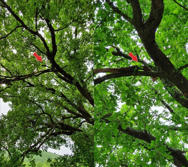 Foto-denuncia della situazione a Castiglionchio realizzate dall'associazione "Vivere in Valdisieve"