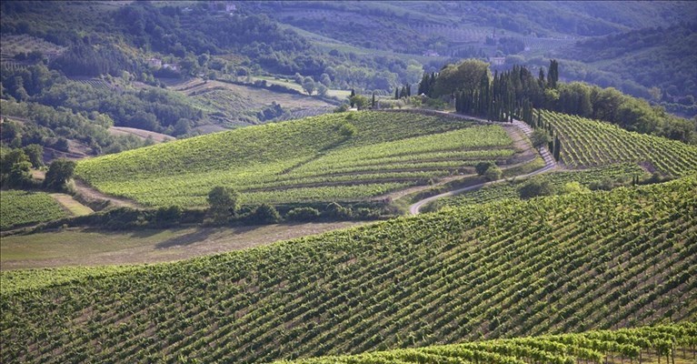 il paesaggio del Chianti Classico