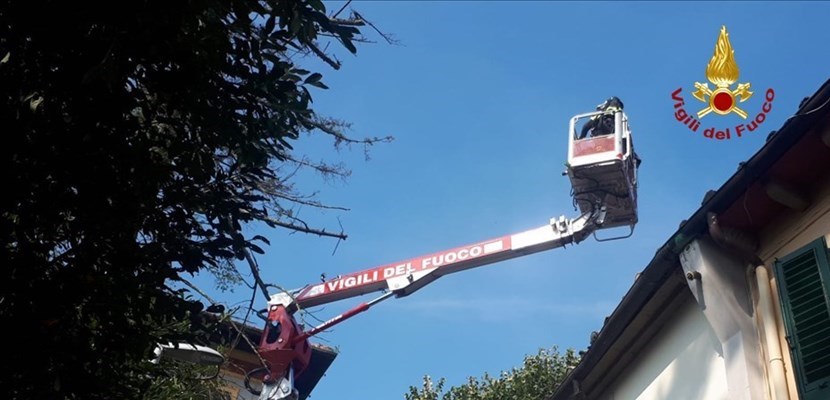 Maltempo Mugello. Danni anche alle colture agricole