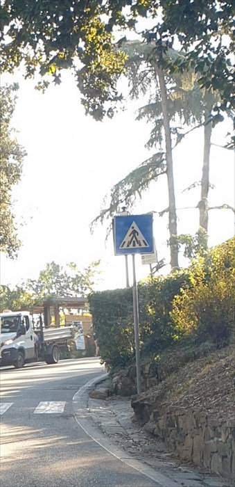 viale Poggi in contromano