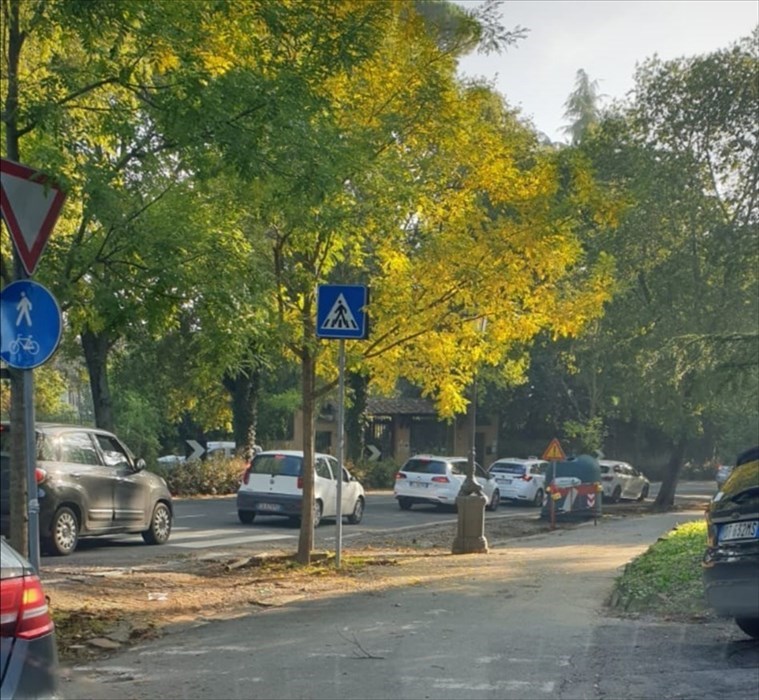 il traffico in tilt sul viale dei Colli