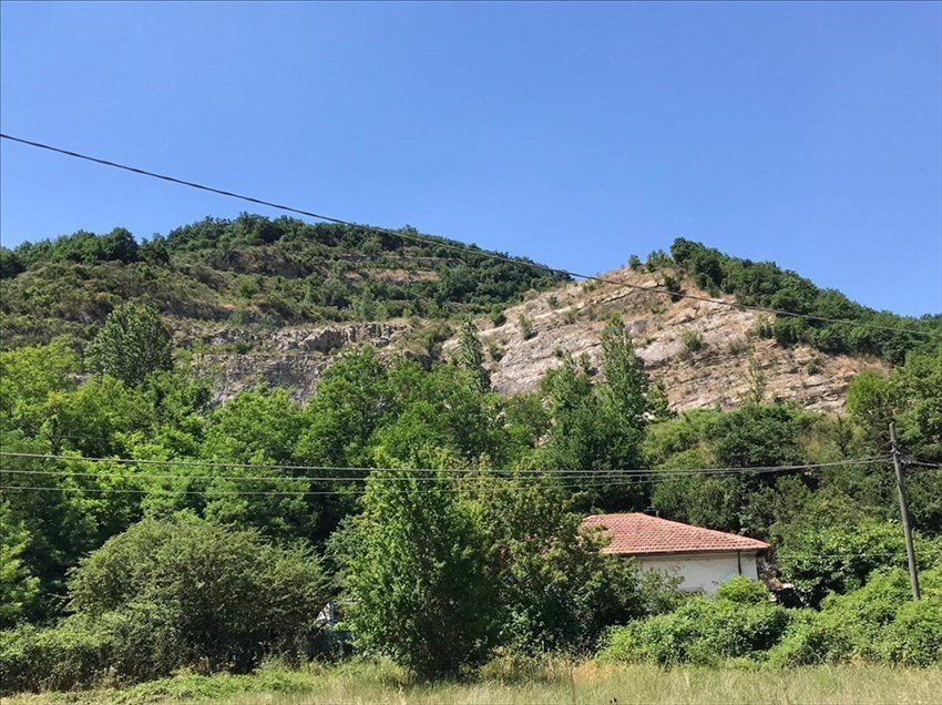 Altre foto di ieri mattina