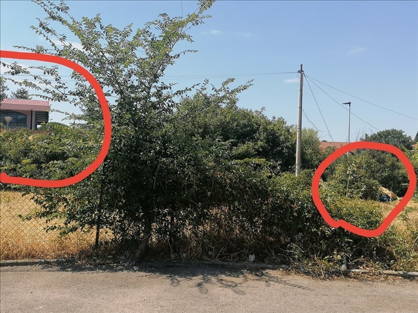 la distanza fra la tendopoli di via De Robertis e il frequentatissimo PalaCoverciano