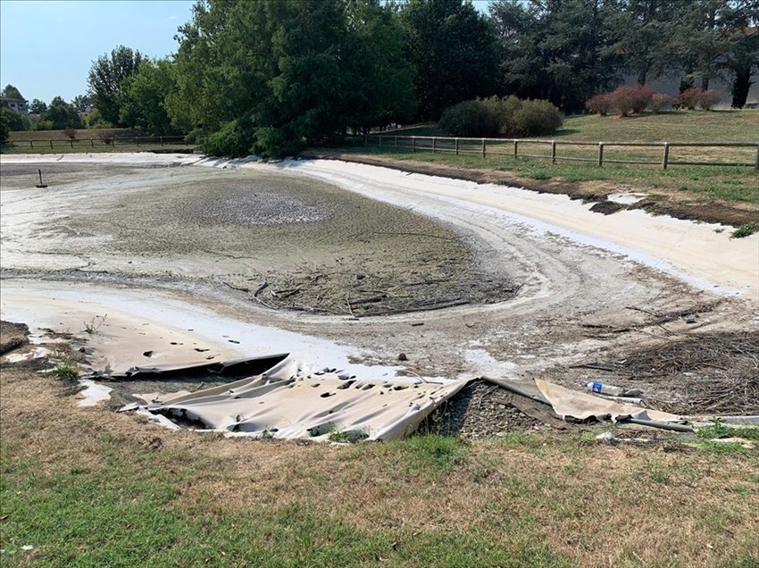 Il laghetto svuotato. Ma alcuni animali sono rimasti