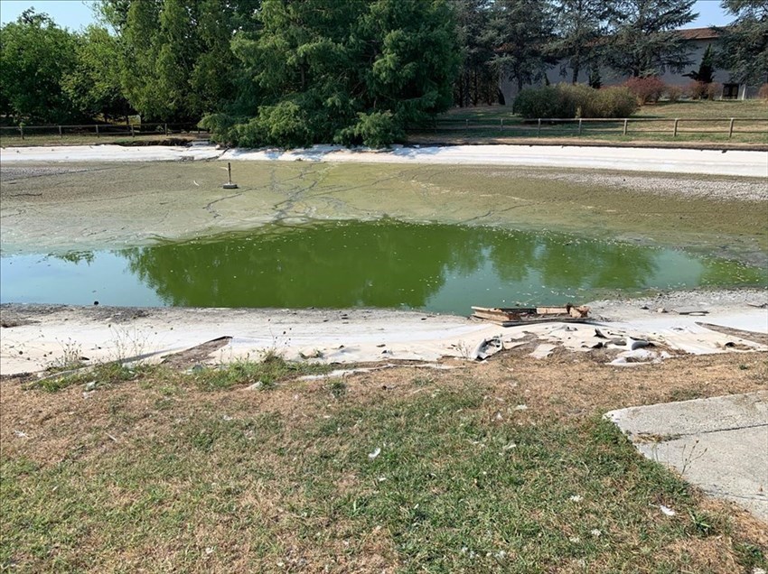 Il laghetto svuotato. Ma alcuni animali sono rimasti