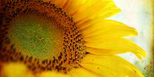 Giorno & Notte. Tutto il fine settimana in Mugello dal 12 al 14 luglio