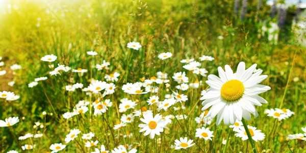 Arriva la primavera! Giorno & Notte. Tutto il fine settimana in Mugello dal 18 al 20 marzo