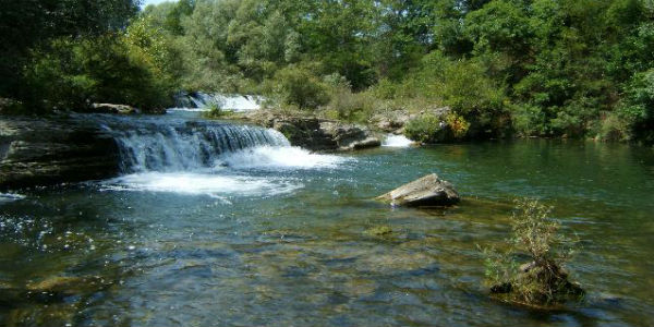 Invasione biologica della Sieve. Avviato il programma di cattura
