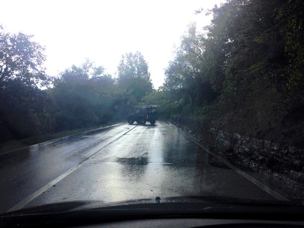 Ischieti. Albero cade in strada. Traffico interrotto