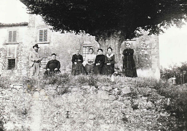 Alberi devozionali. L’ olmo di San Quirico a Uliveta