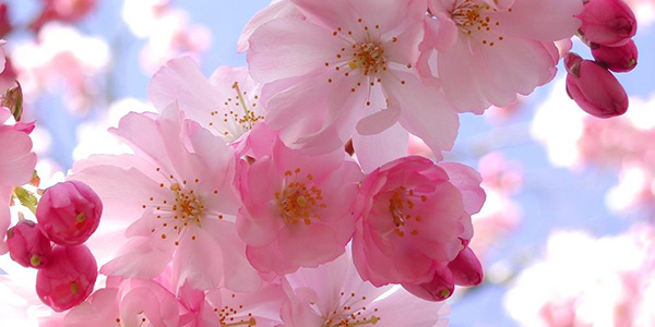 Giorno & Notte. Tutto il fine settimana in Mugello, e il Primo Maggio