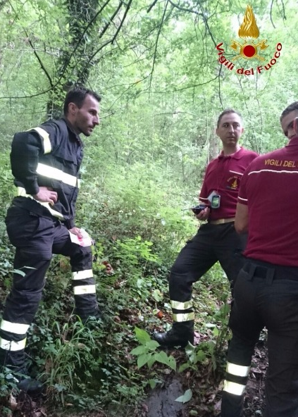 Disperso a Barberino. Intervengono i vigili del fuoco. Foto