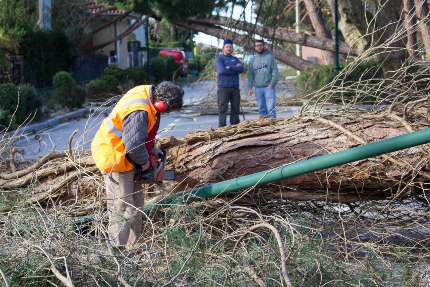 Danni meteo: Come chiedere i risarcimenti in Valdisieve
