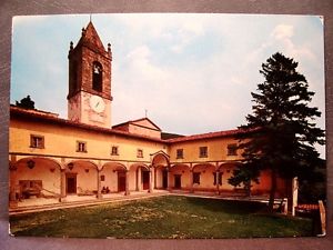 Il Cisto Laurino in fiore alla Madonna del Sasso