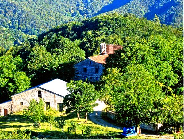 Le feste a santa Maria all’ Eremo. Info e programma