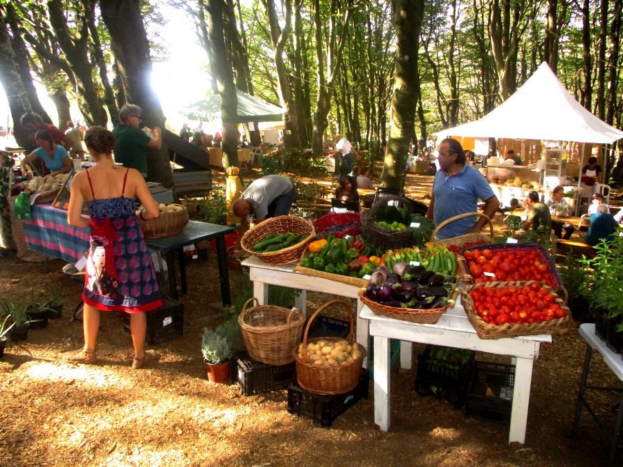 L’antica fiera dei Poggi a San Godenzo. Una festa nella festa