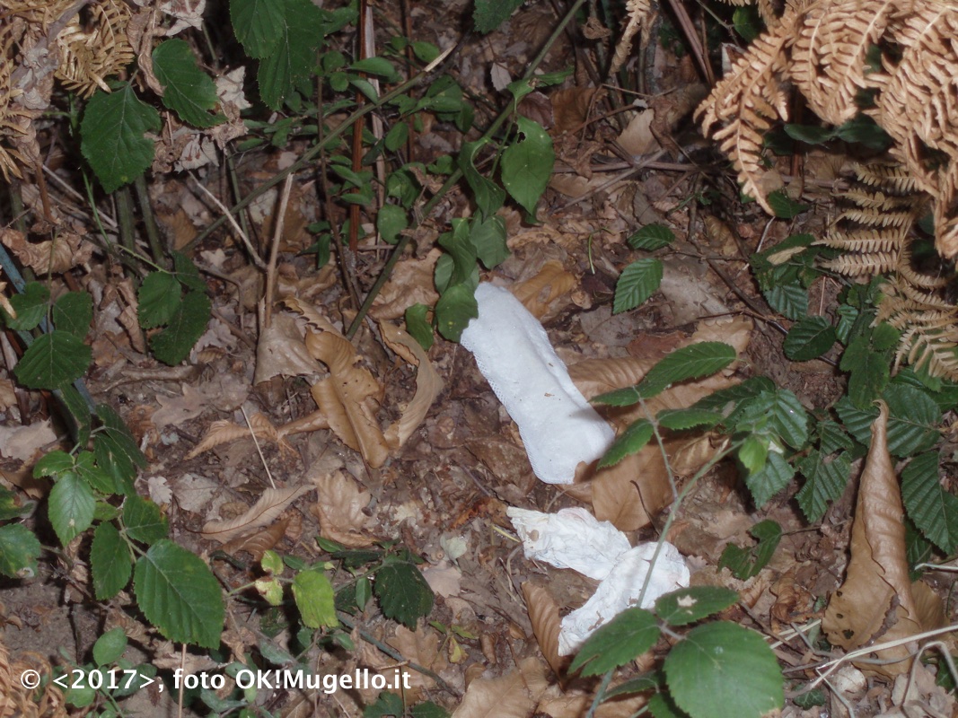 montesenario-degrado_2