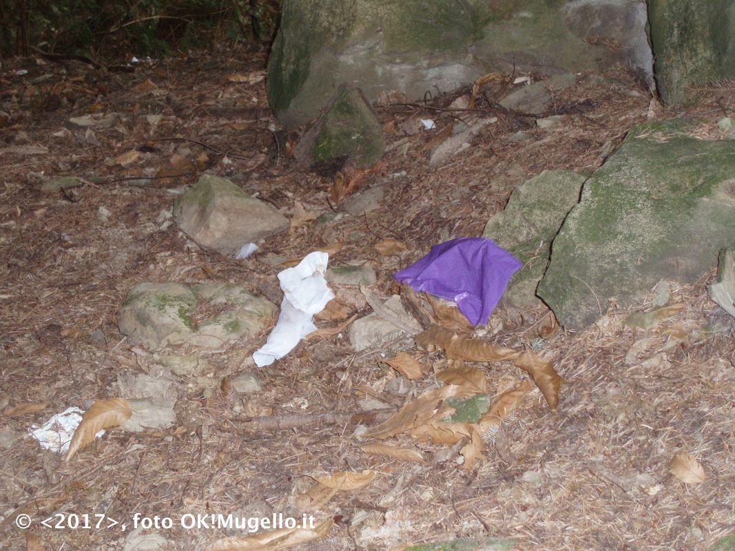 montesenario-degrado_5