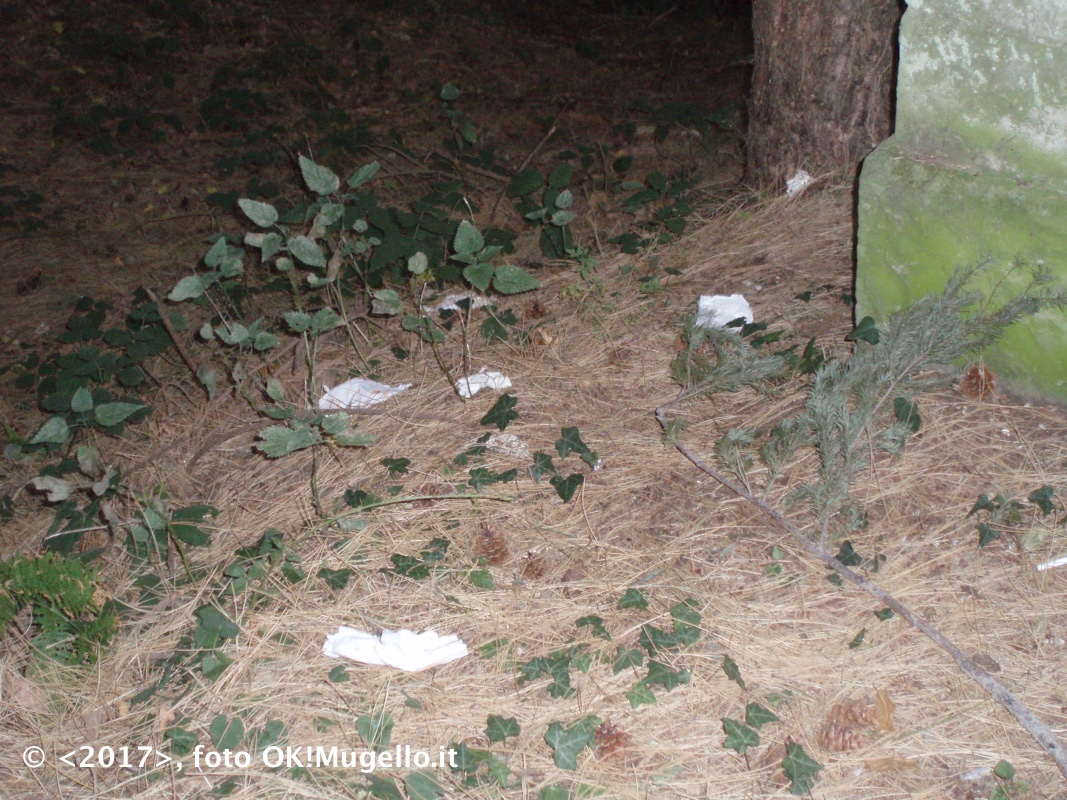 montesenario-degrado_6