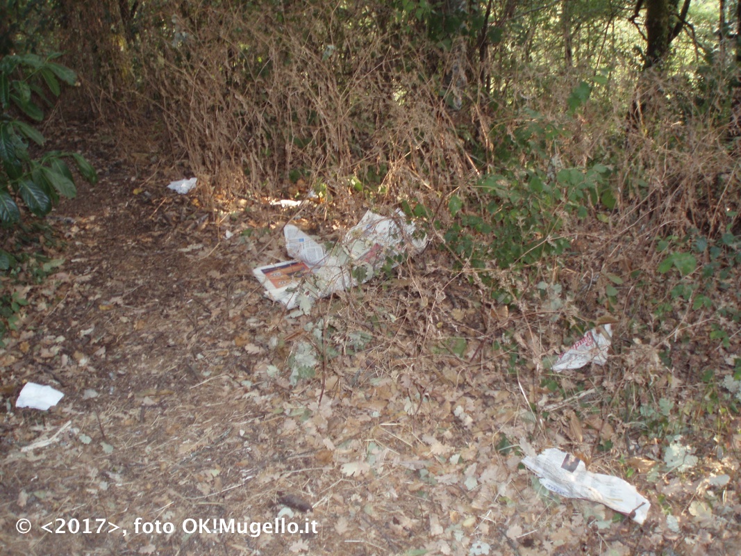 montesenario-degrado_7