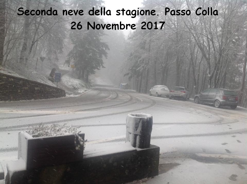 Seconda neve della stagione. Foto del Giorno al Passo della Colla