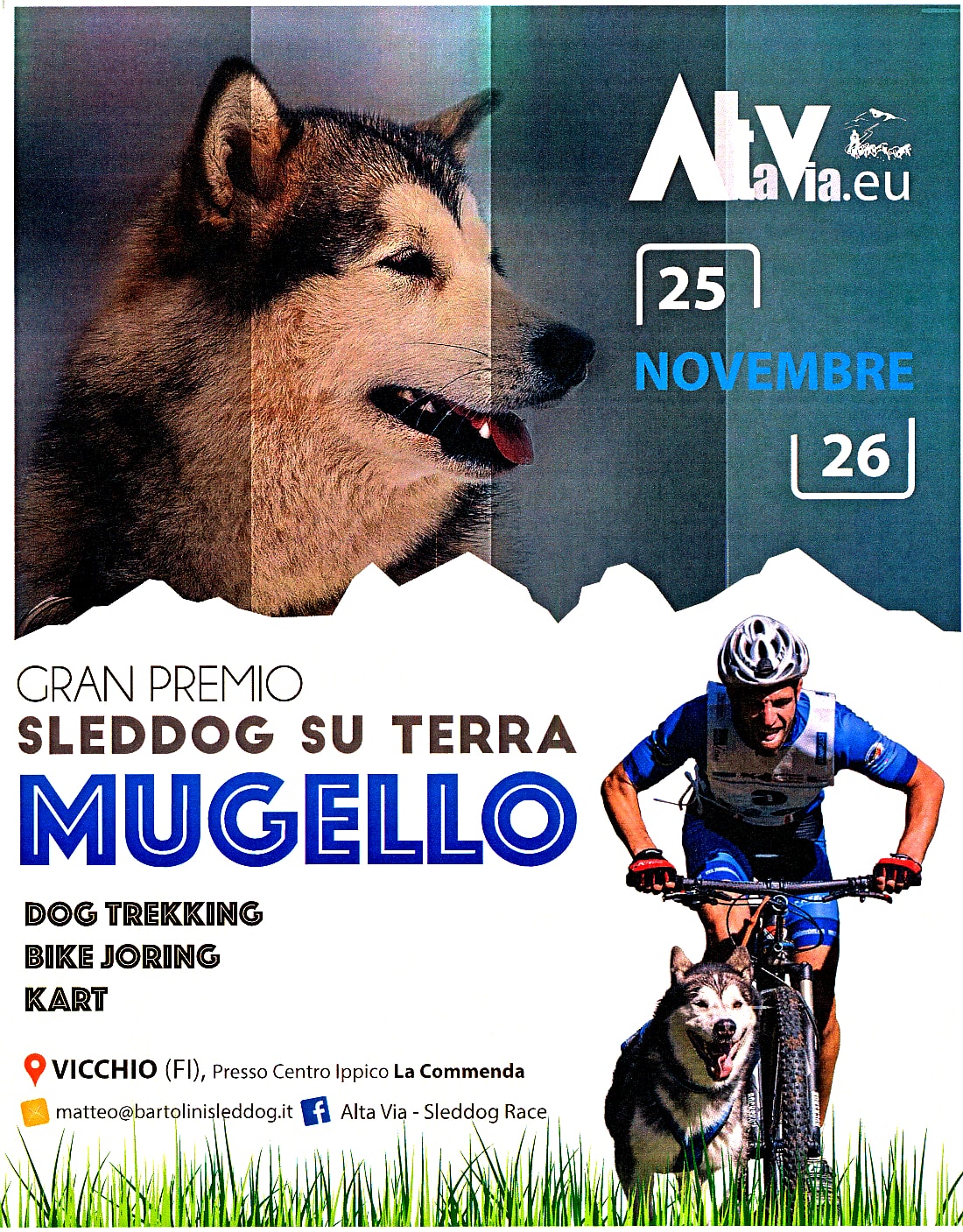 sleddog vicchio 1-min