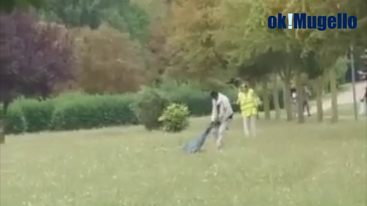 Pestaggio al Parco della Misericordia. Video, intervengono i Carabinieri