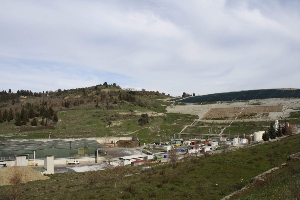 Organico: ecco i conti. Quanto costa trattarlo e quali sono i benefici ambientali