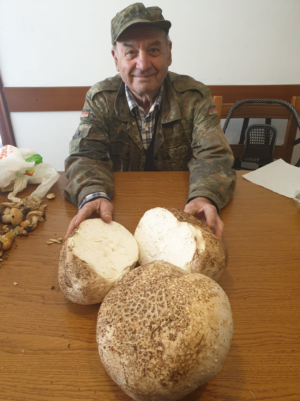 Funghi record a Montepoli. Due vesce di 2 Kg, foto del giorno