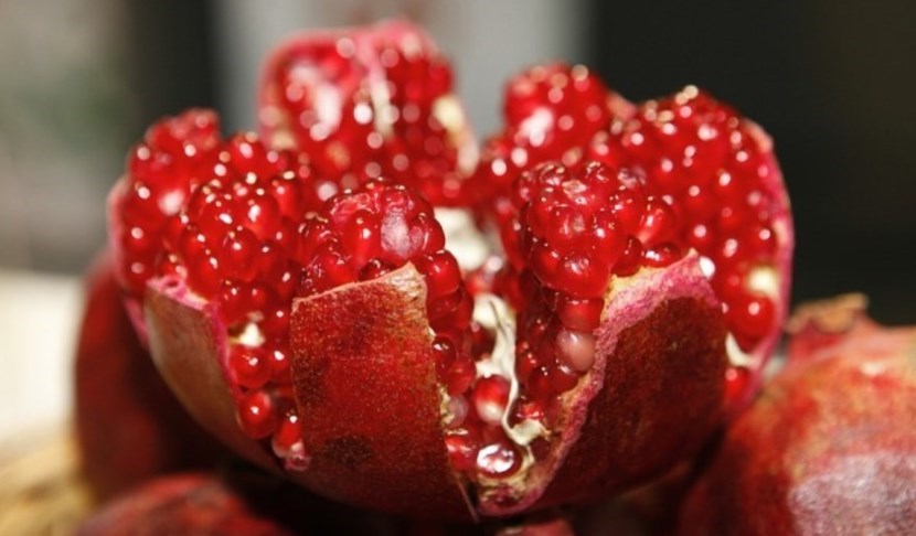 Immagine di repertorio