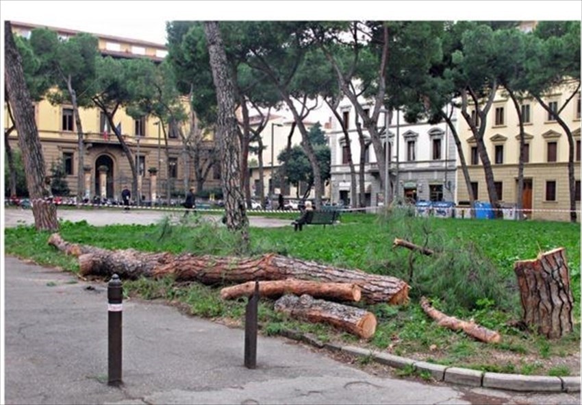 La piazza dopo gli abbattimenti del 2014