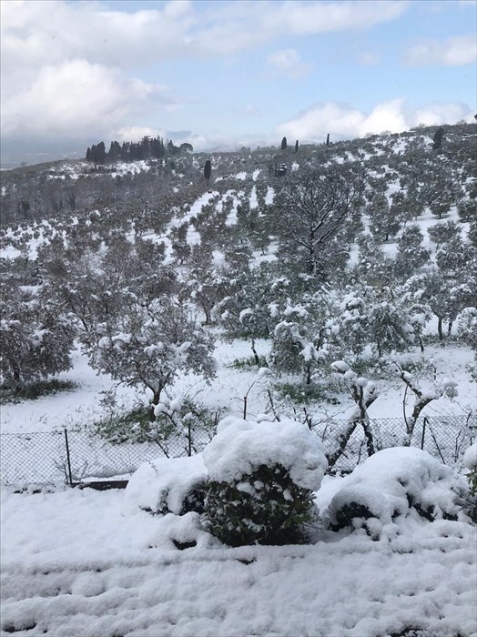 Neve a Paterno (Pelago)