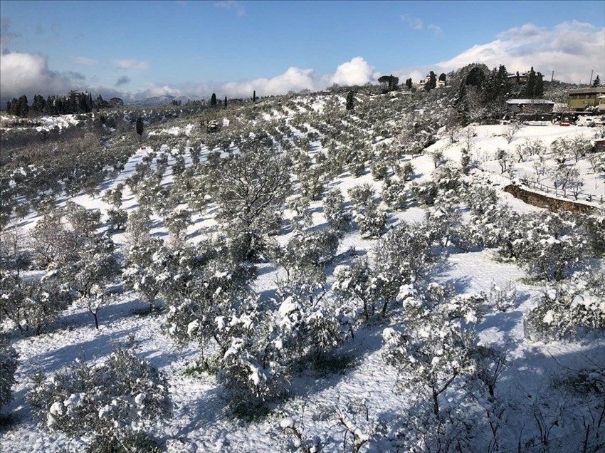 Neve a Paterno (Pelago)