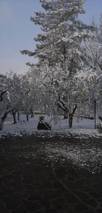 Neve a Torri (Rignano sull'Arno)